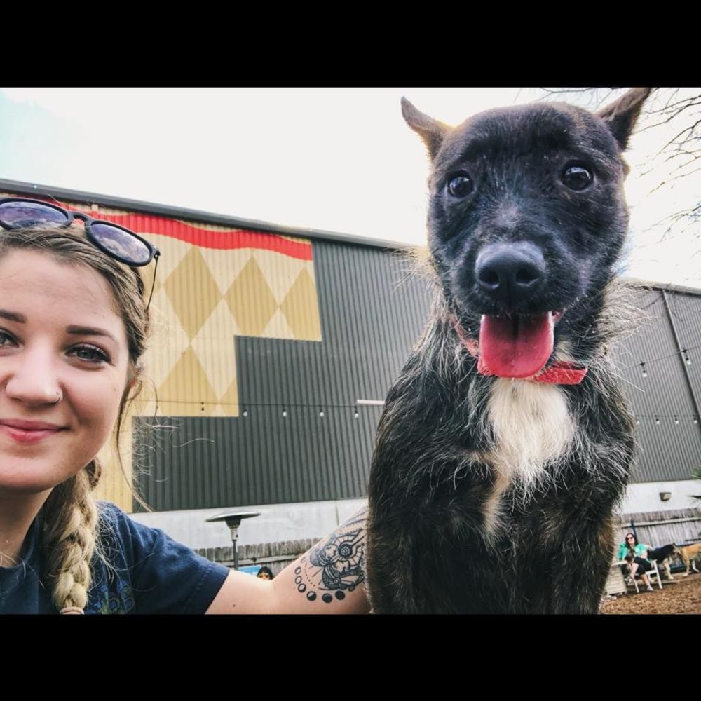 Meet your Posher, Bonnie